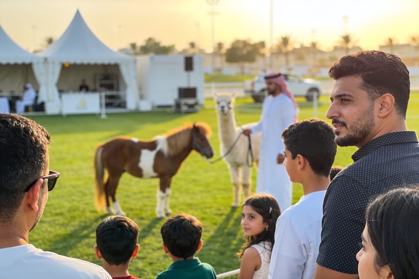 A pony and alpaca at an outdoor family day in Dubai
